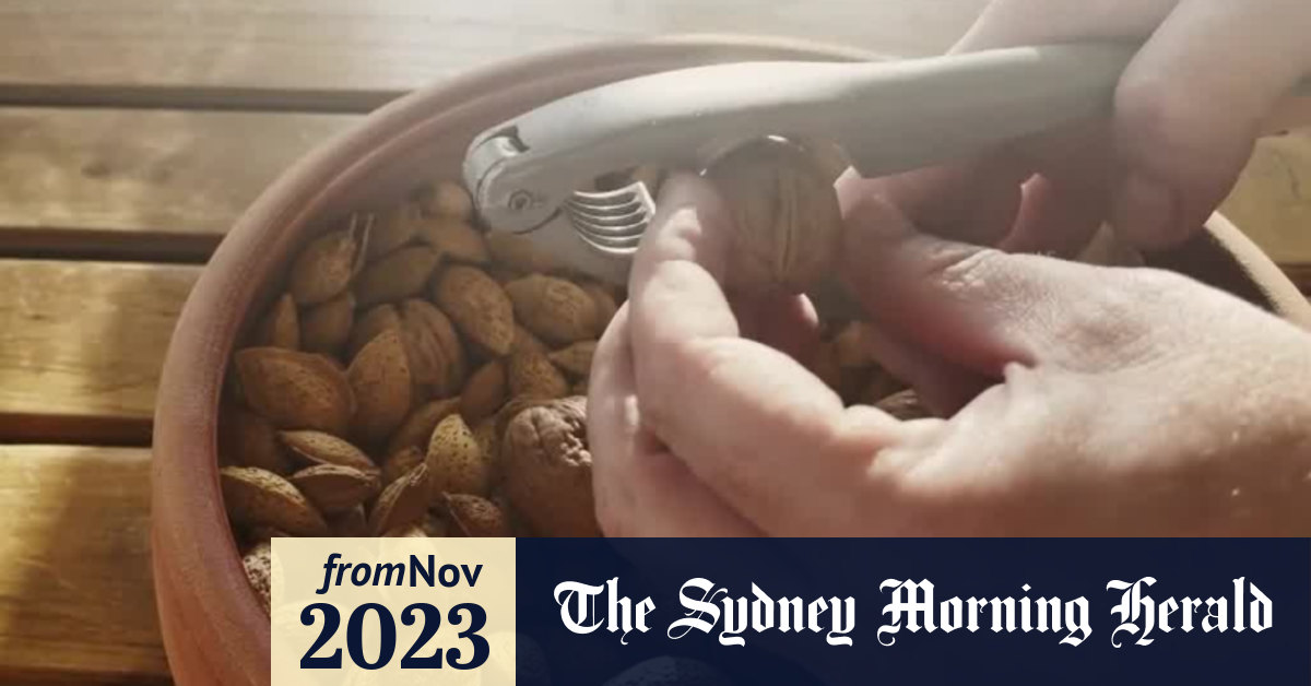 Video Eating nuts improves male fertility, study shows